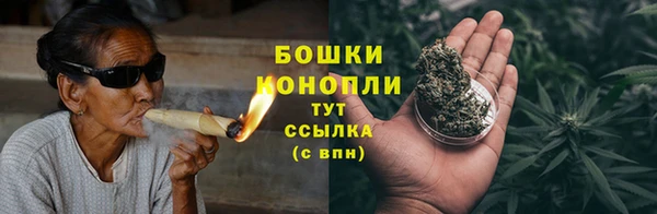 индика Белокуриха