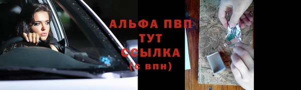 индика Белокуриха