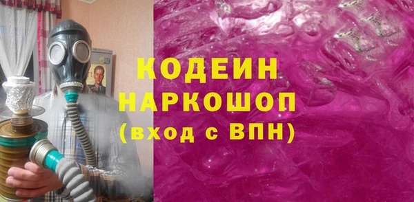 индика Белокуриха