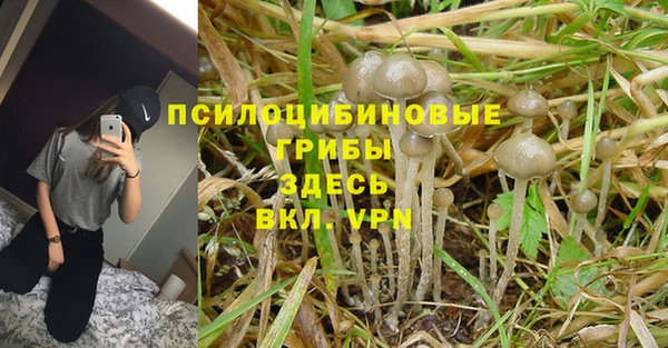 mdpv Богданович